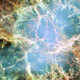 The Crab Nebula